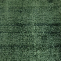 TAPIS-ERASED-2174-J12