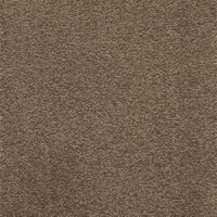 Tapis-faux-silk-bellbird-5576-585 collection Angelo